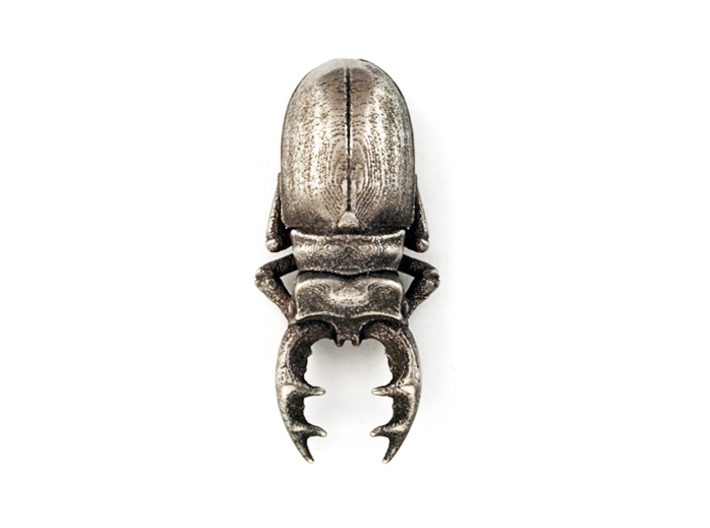 Stag Beetle 3d printed Stainless Steel