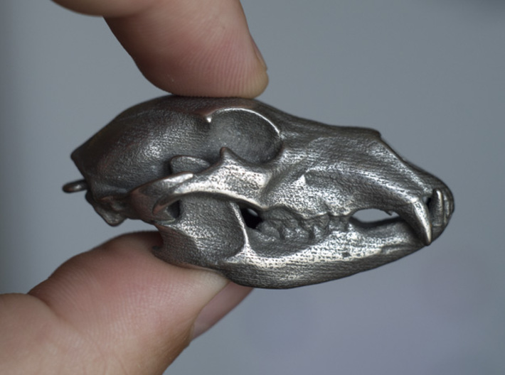 Bear Skull. 5cm 3d printed