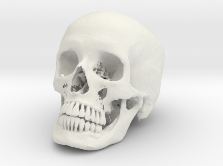Jack-o'-lantern skull from CT scan, full size 3d printed