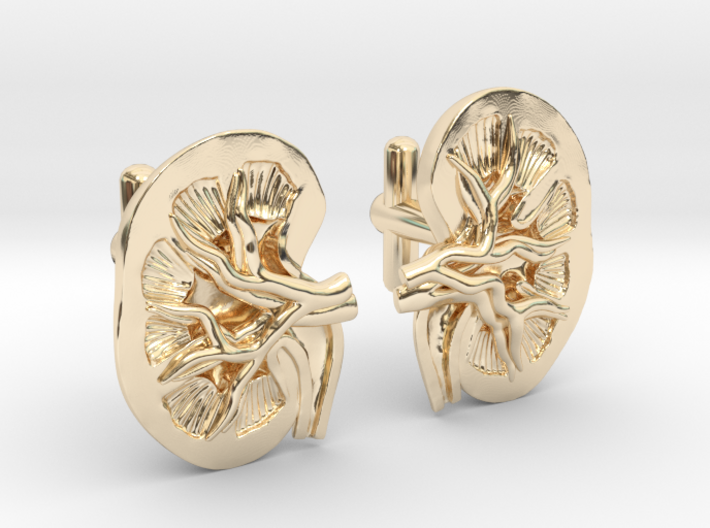 Anatomical Kidney Cufflinks 3d printed