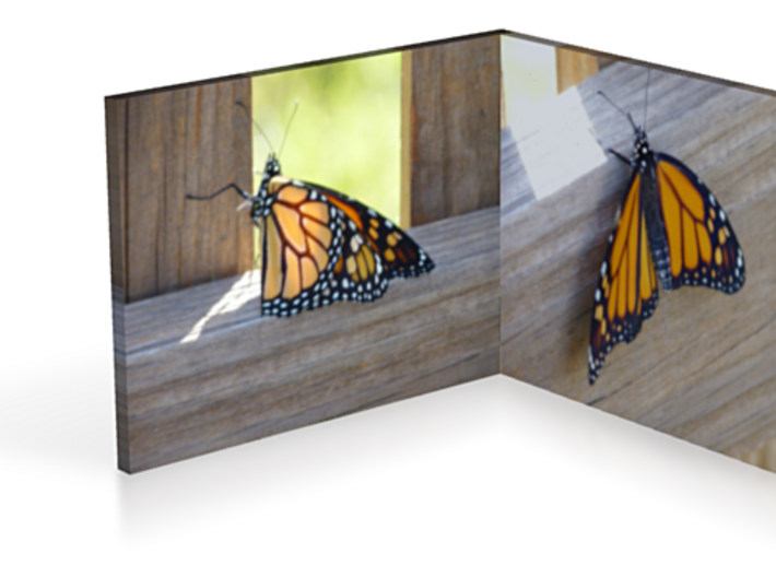 Butterflies 3in 3d printed 