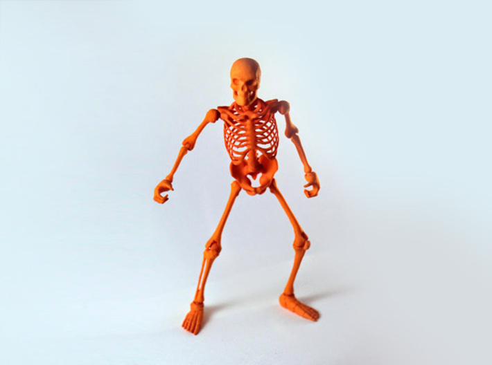 Articulated Skeleton 3d printed Some assembly required, however once assembled, skeleton is fully poseable