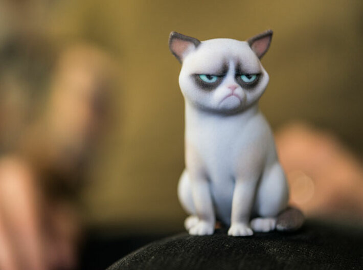 Grumpy Cat 3d printed 