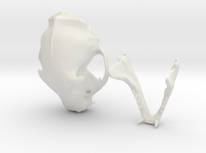 Mid-Sized Cat Skull Sculpture 3d printed 