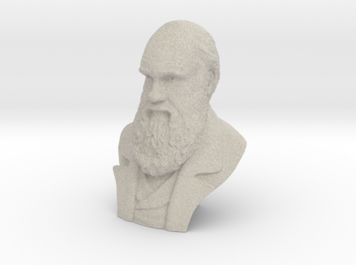 Charles Darwin 9&quot; Bust 3d printed Charles Robert Darwin, 12 February 1809 – 19 April 1882 was an English naturalist and geologist, best known for his contributions to evolutionary theory. He established that all species of life have descended over time from common ancestors, and in a join
