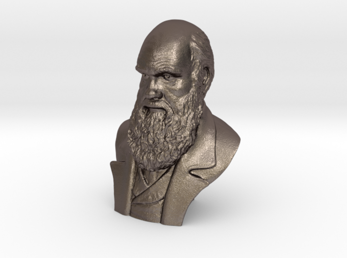 Charles Darwin 6&quot; Bust 3d printed