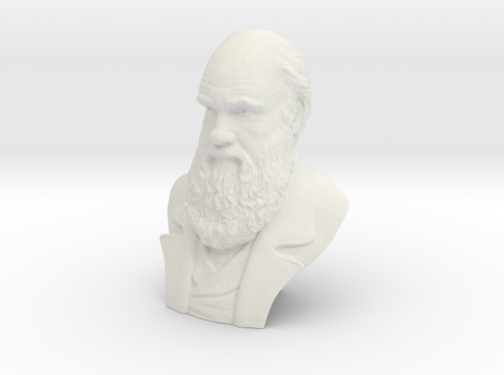 Charles Darwin 4&quot;Bust 3d printed