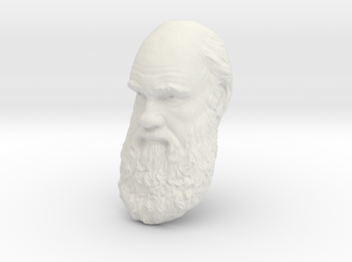 Charles Darwin 8&quot; Head Wall Mount 3d printed