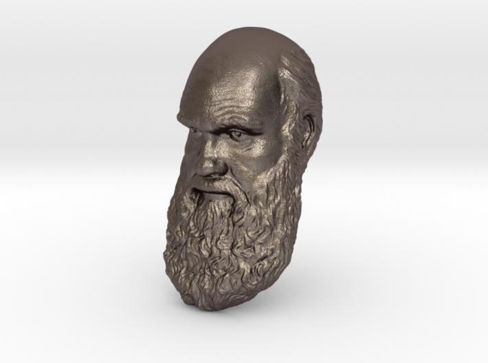 Charles Darwin 6&quot; Head Wall Mount 3d printed