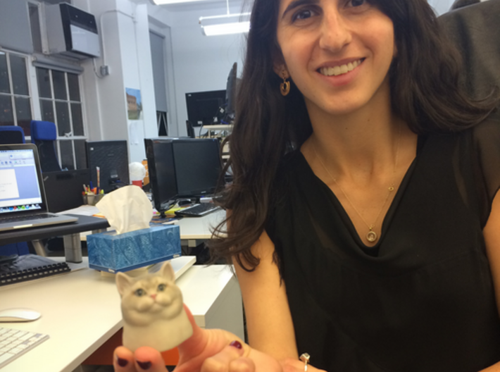 Heavy Breathing Cat 3d printed Carine not included 
