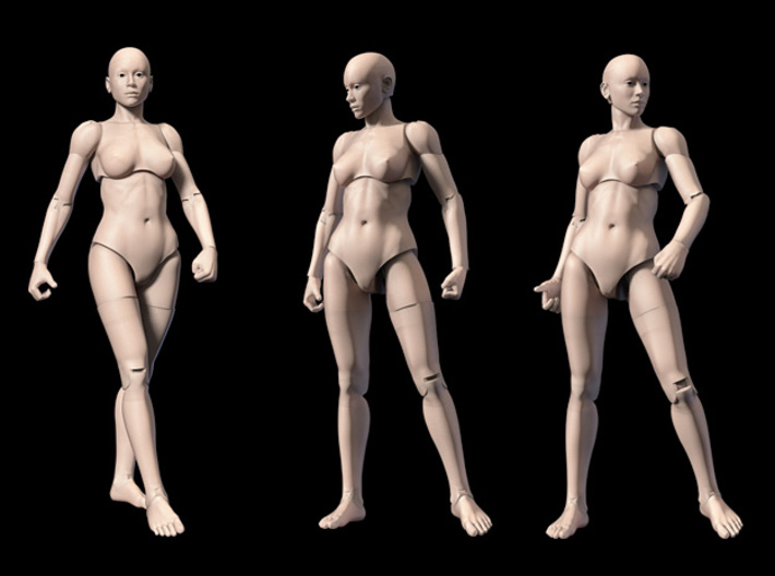 FB01-Body-01s  6inch 3d printed Figure comes unpainted