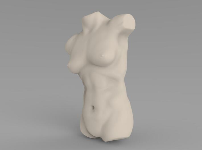 Female Torso Sculpt 3d printed 3D Render