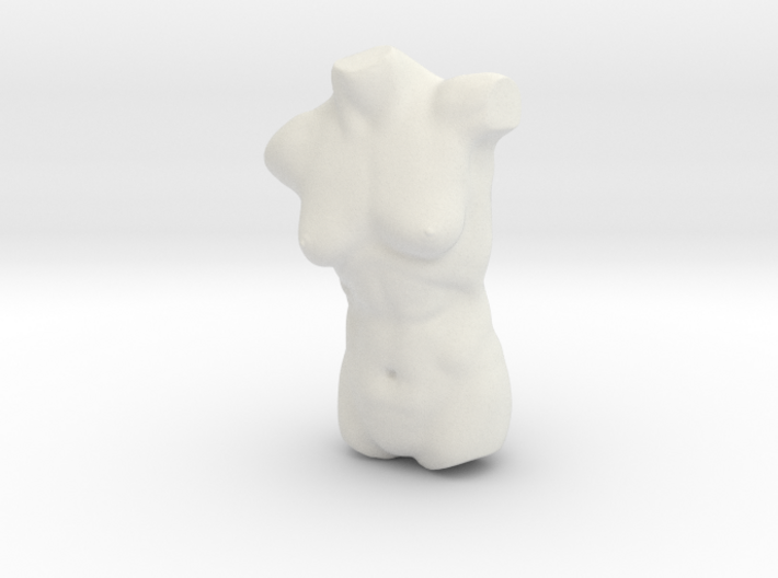 Female Torso Sculpt 3d printed