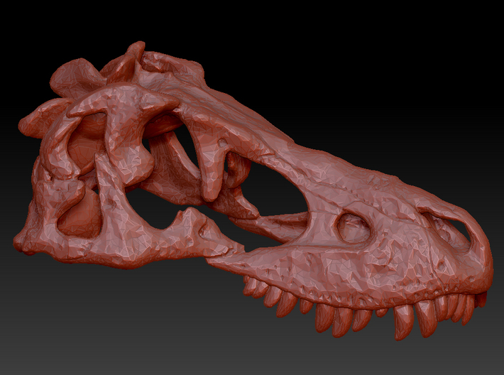 Tarbosaurus Skull 30mm 3d printed 
