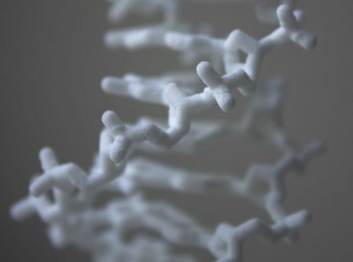 DNA double helix (with stand) 3d printed 