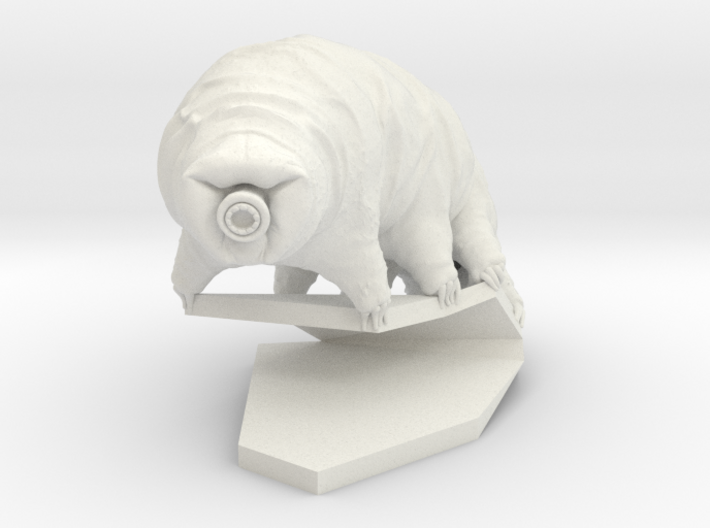 Tardigrade (Water Bear) 3d printed