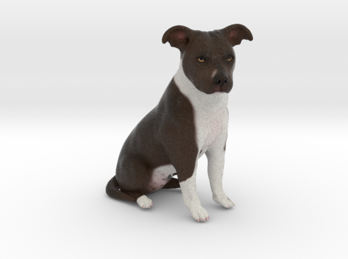 Custom Dog Figurine - Aspen 3d printed