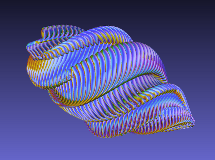 Mathematical Mollusca - Large Spiraling Organic Sh 3d printed 