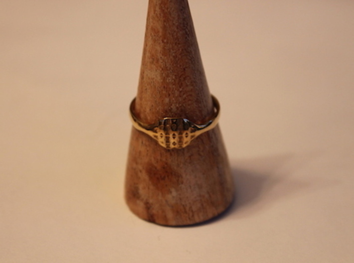 Triss Ring US Size 8 5/8 UK Size R 3d printed Gold Plated Brass