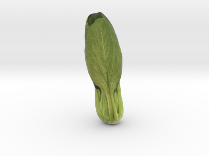 The Chinese Cabbage 3d printed