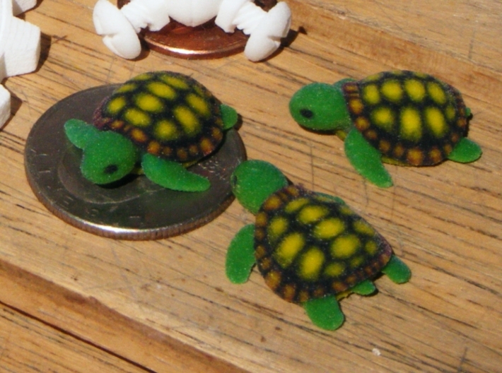 Concha: Little Turtle (1 piece) 3d printed 3 Full Color Sandstone Turtles