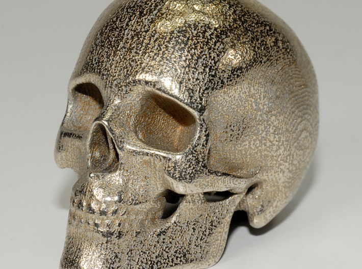 human skull - 5 cm 3d printed Printed in Stainless Steel