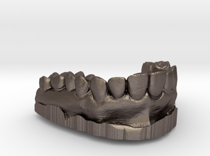 Anatomical Lower Teeth 3d printed