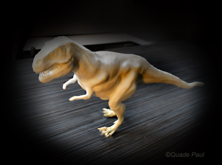 Tyrannosaurus Rex 3d printed photo of the trex print