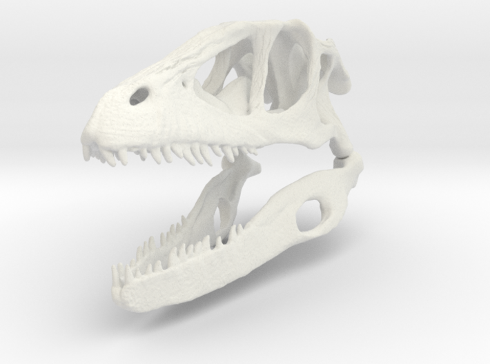  Dino Skull - Raptor Replica 3d printed 