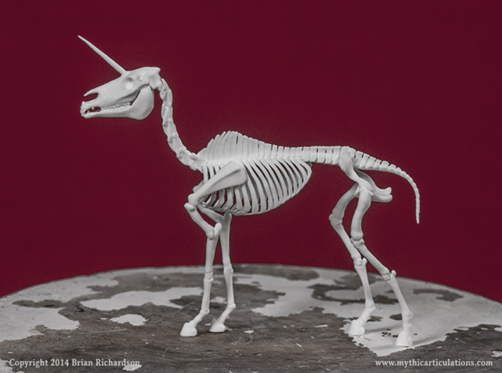 Unicorn Skeleton 3d printed