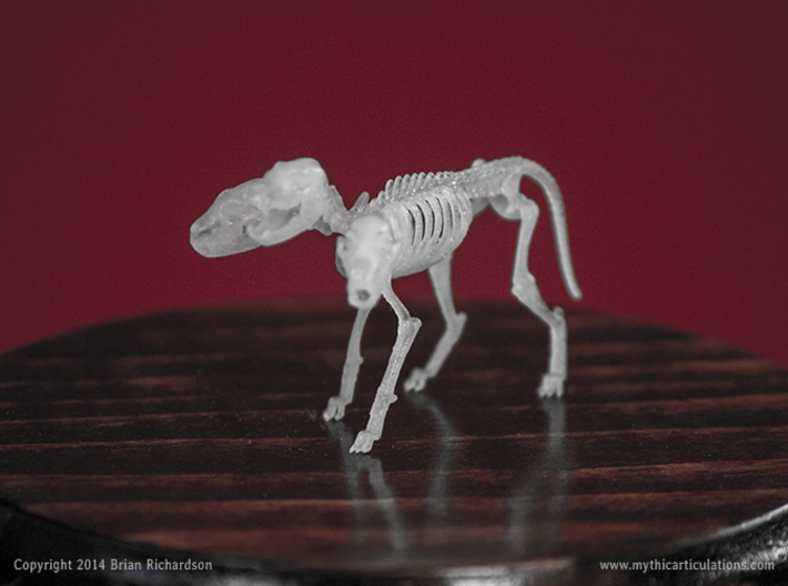 Cerberus Skeletons 32mm 3d printed 