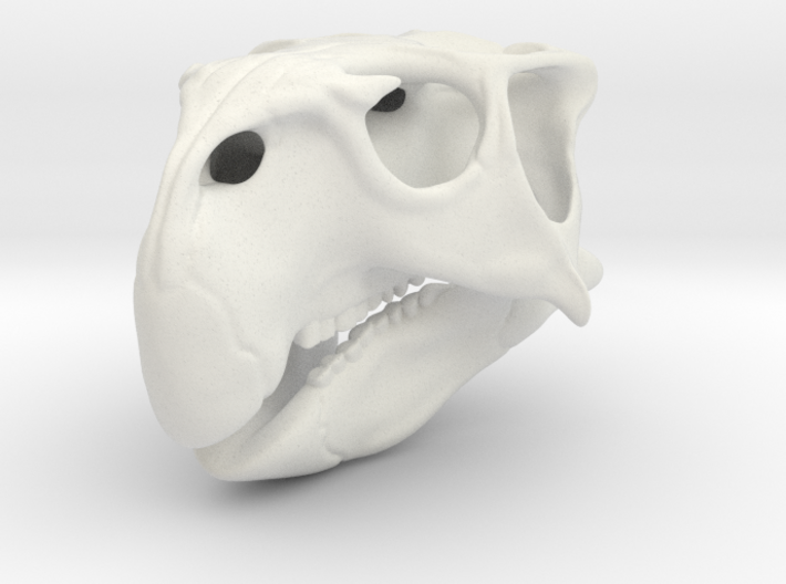 Skull Psittacosaurus 3d printed 