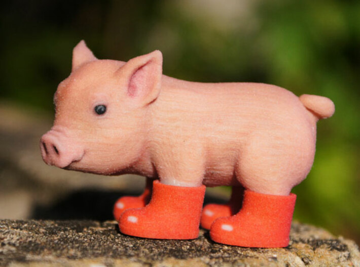cute baby pigs in boots