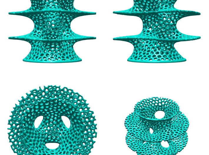 Voronoi Costa Vase 3d printed 