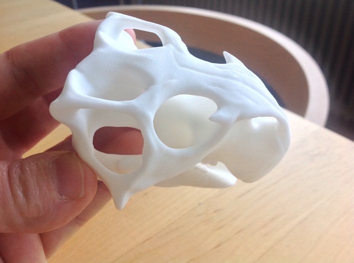 Skull Psittacosaurus 3d printed 