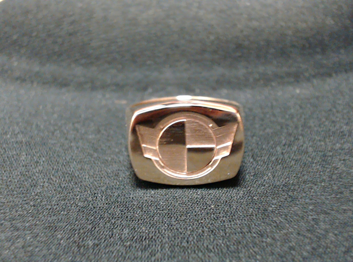 Test Squadron - Signet Ring - Size 11 - (Embed) 3d printed