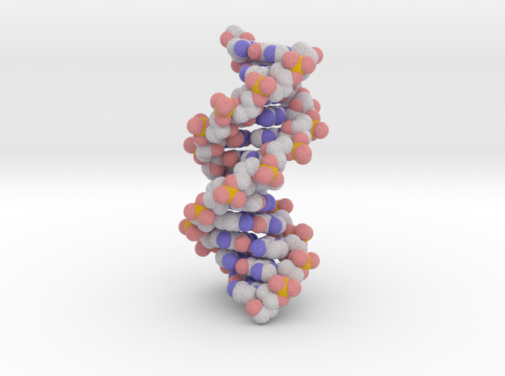 B-DNA 3d printed
