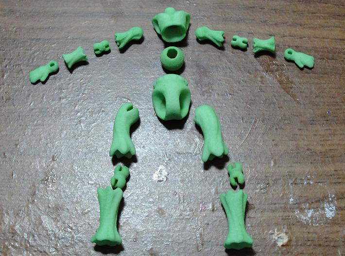 Tiny BJD Doll Twigling  3d printed parts laid out