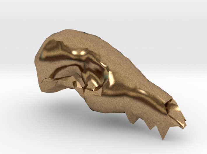 Fox Skull 3D Scan 3d printed