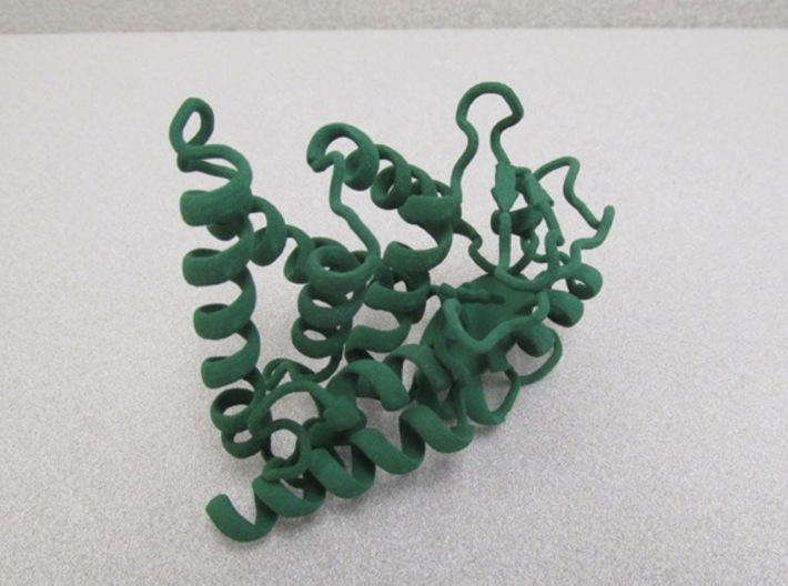 Retininoic acid receptor 3d printed 