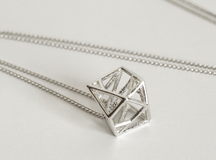 Lien pendant 3d printed Premium Silver with Silver Chain