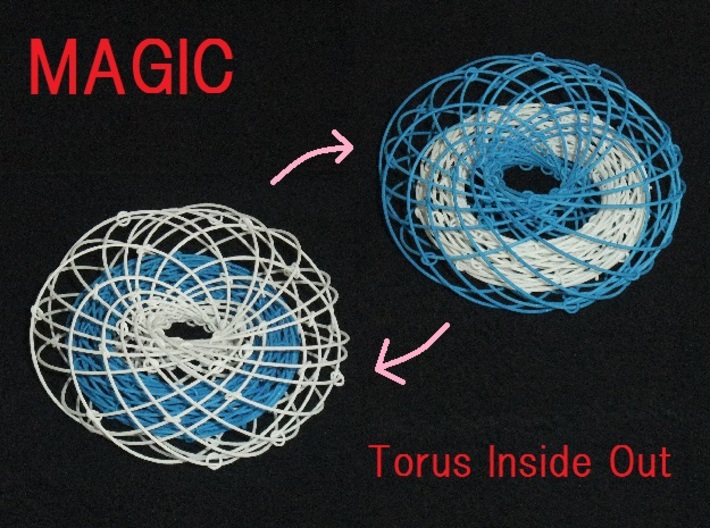 Torus Inside Out 3d printed