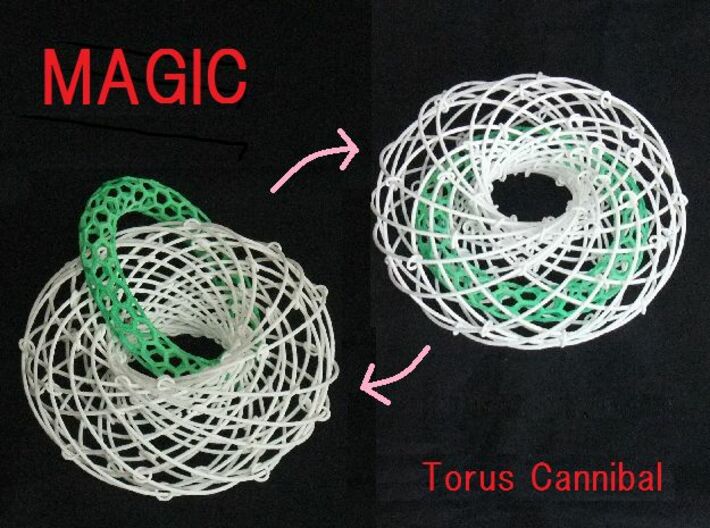 Torus Magic with Ring 2 3d printed