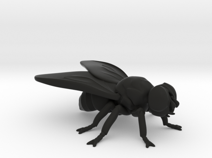 Fly 3d printed