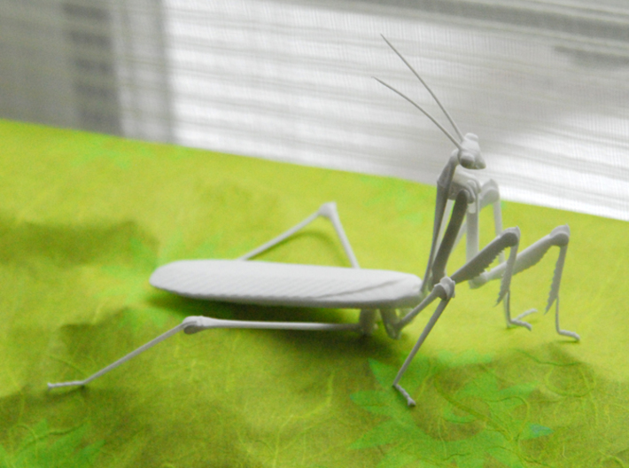 Articulated Mantis 3d printed