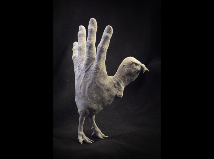 Hand Turkey 3d printed alumide sample of Hand Turkey (Maleagris Manus)