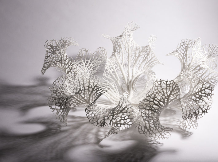 Floraform Sculpture 3d printed 