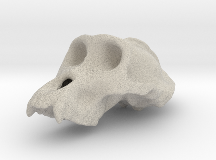 Gorila ♂ cranium 3d printed