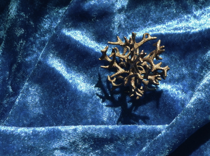 3-dimensional Coral Pendant 3d printed 