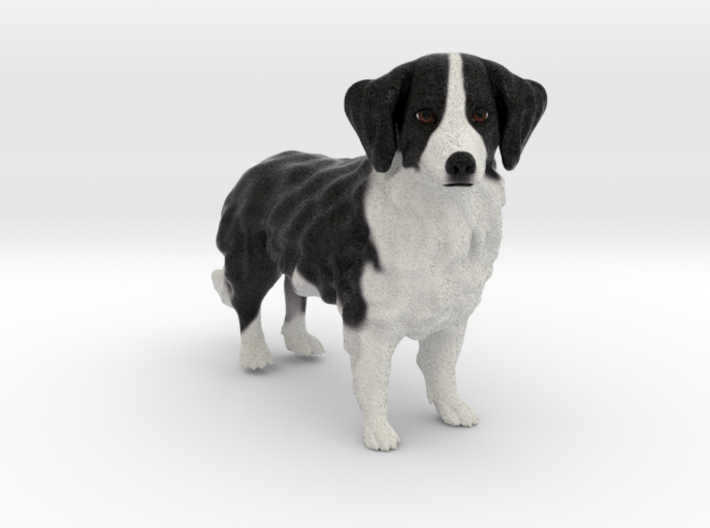 Custom Dog Figurine - Harry 3d printed